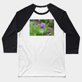 Wind Flower Baseball T-Shirt